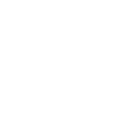 ticket